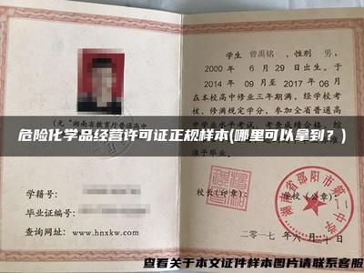 危险化学品经营许可证正规样本(哪里可以拿到?)