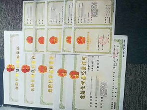 浙江,舟山自由贸易区,在舟山注册公司,政府政策,税收优惠,政府补贴
